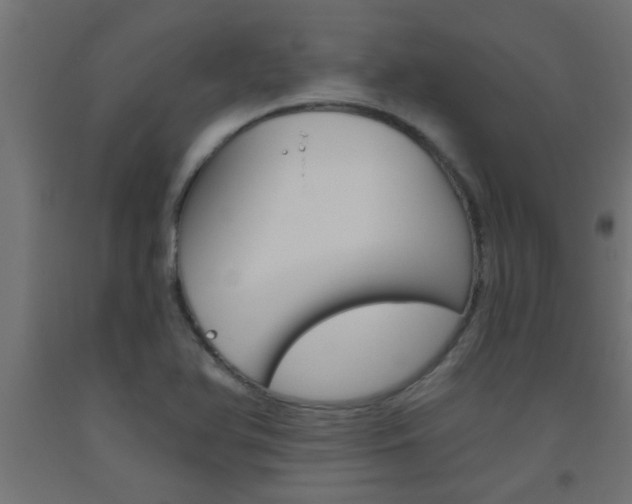X0000093451366200710120957