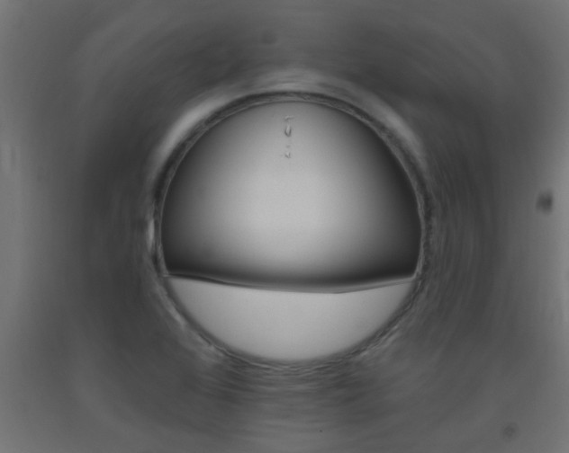 X0000093451368200710120957