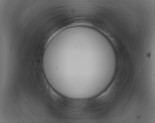 X0000093451369200710120957
