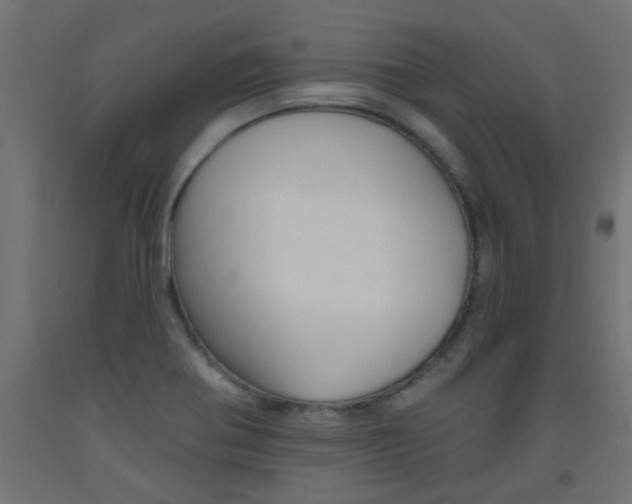 X0000093451370200710120957