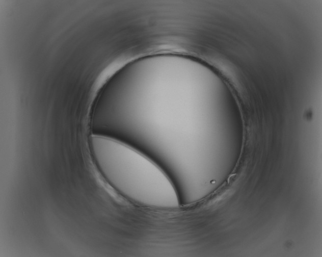 X0000093451373200710120957