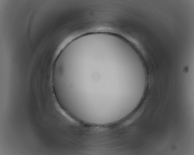 X0000093451374200710120957