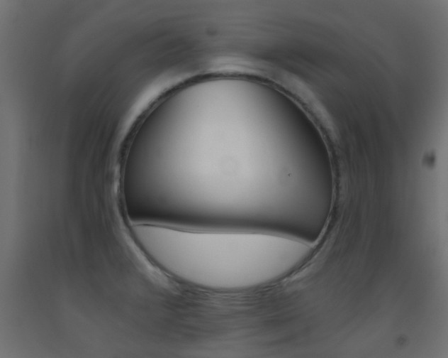 X0000093451376200710120957