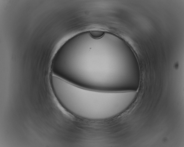 X0000093451379200710120957