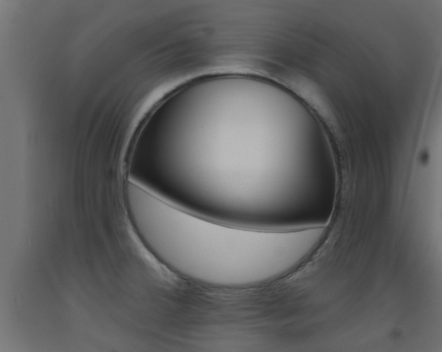 X0000093451380200710120957