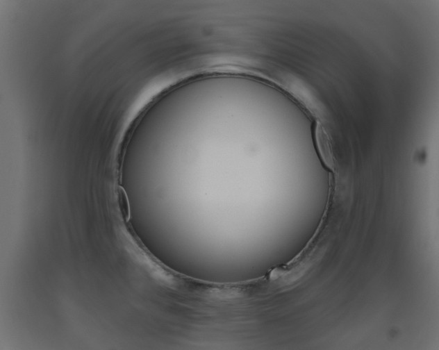 X0000093451384200710120957