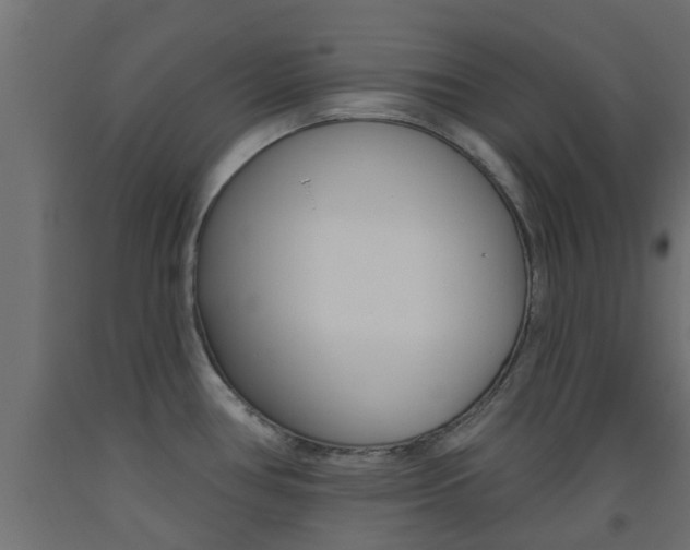 X0000093451386200710120957