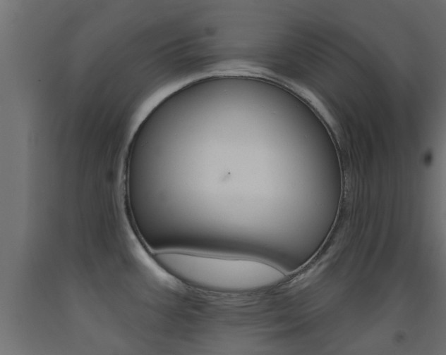 X0000093451387200710120957