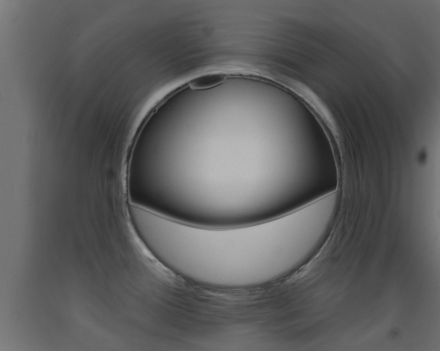X0000093451388200710120957