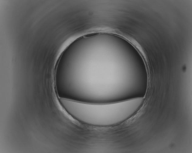 X0000093451389200710120957