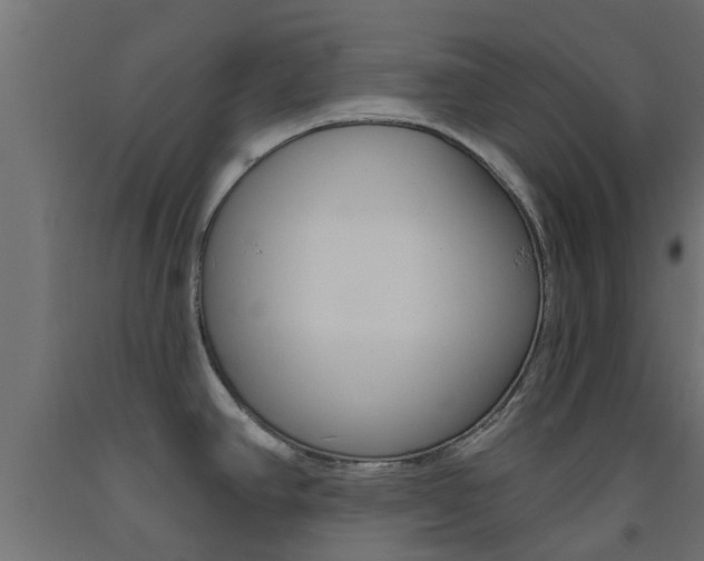 X0000093451390200710120957