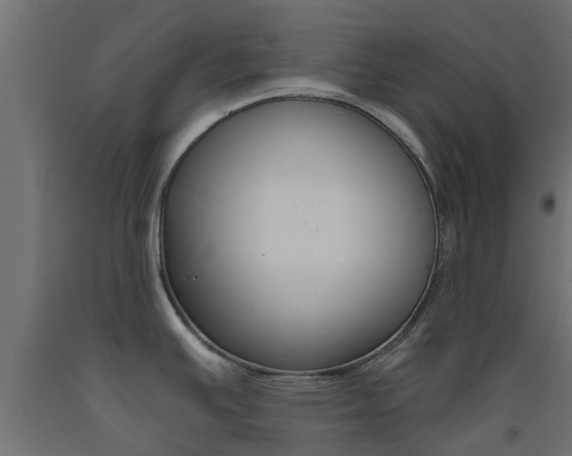 X0000093451391200710120957