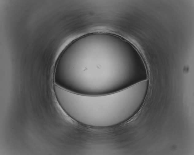 X0000093451392200710120957