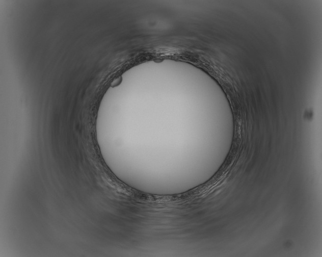 X0000093451393200710120956