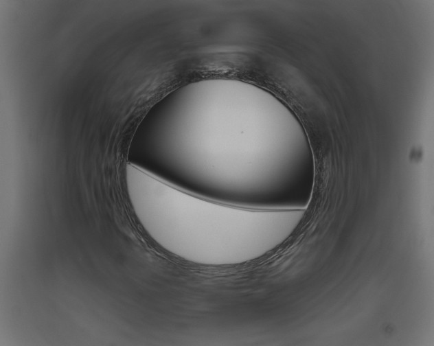 X0000093451394200710120956