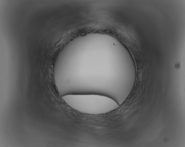 X0000093451397200710120956