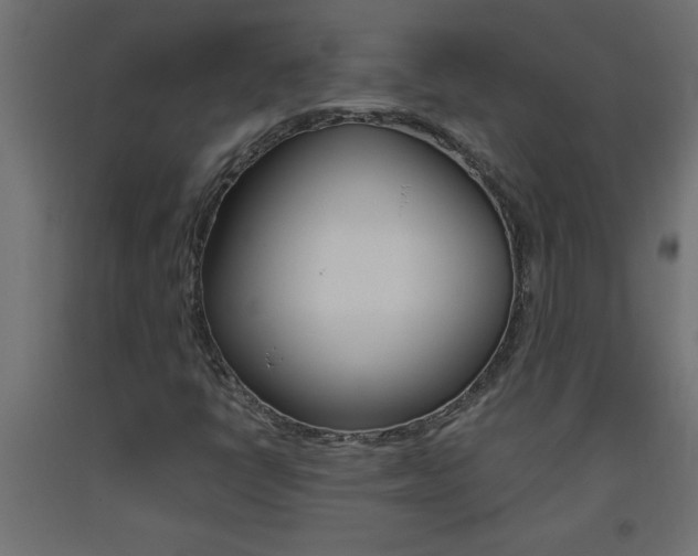 X0000093451398200710120956
