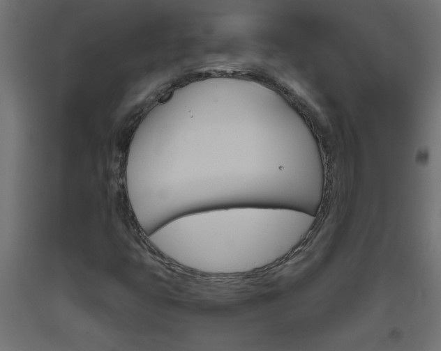 X0000093451399200710120956