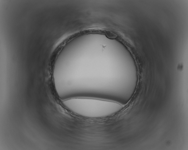 X0000093451400200710120956