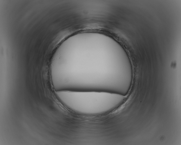 X0000093451401200710120956