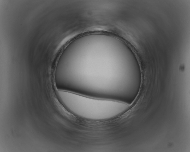 X0000093451404200710120956