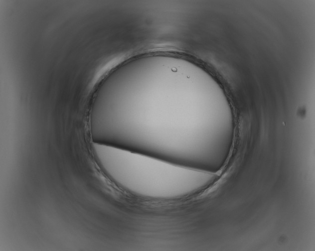X0000093451405200710120956