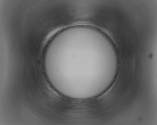 X0000093451406200710120956