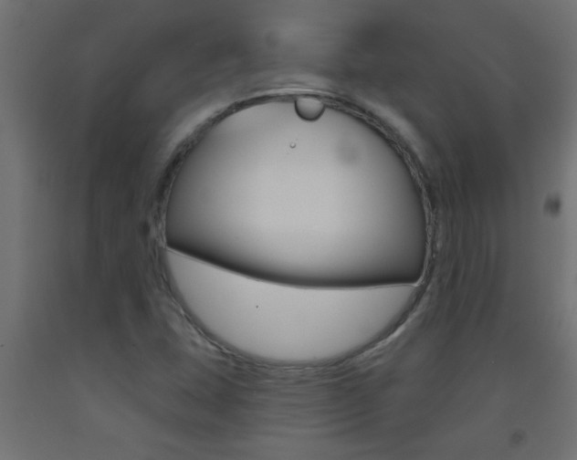 X0000093451407200710120956