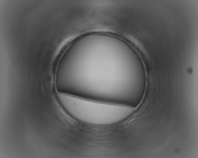 X0000093451408200710120956