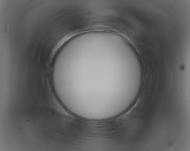 X0000093451410200710120956