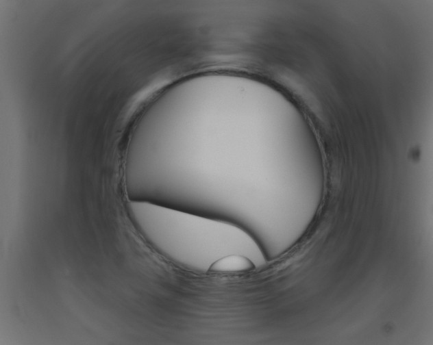 X0000093451411200710120956
