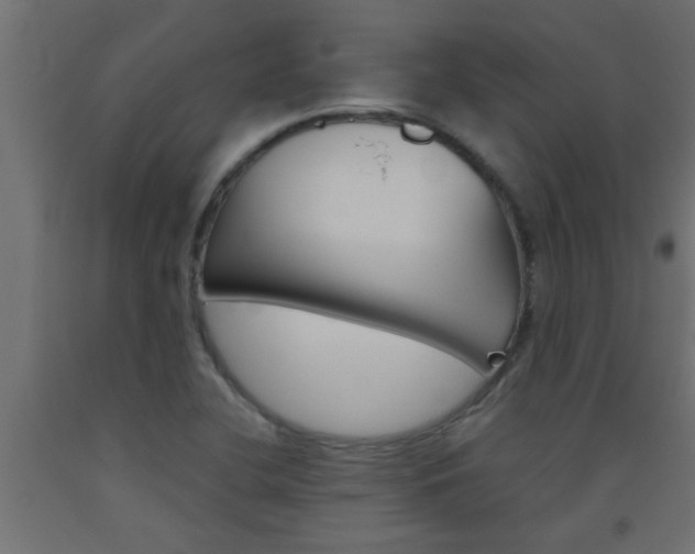 X0000093451412200710120956
