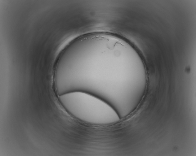 X0000093451415200710120956