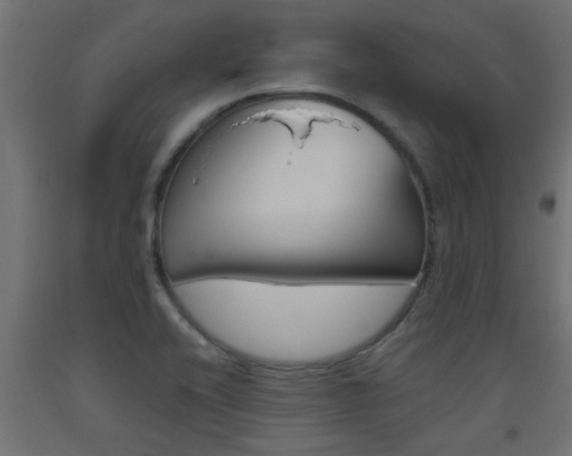 X0000093451416200710120956