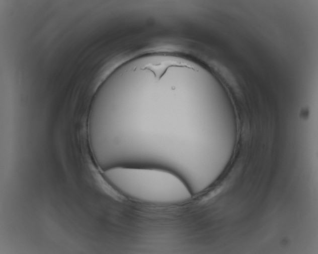 X0000093451417200710120956