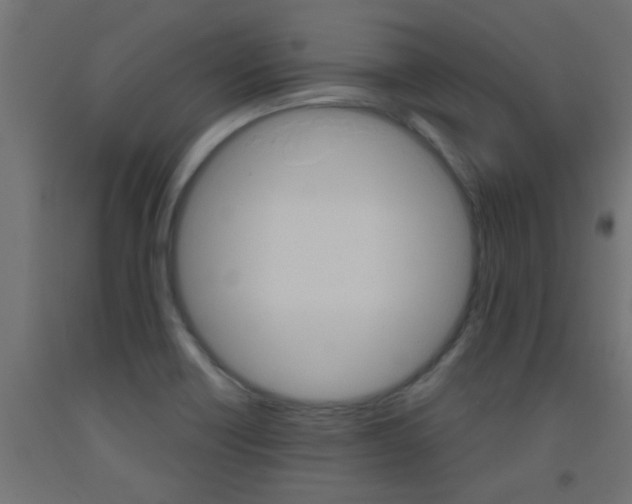 X0000093451418200710120956
