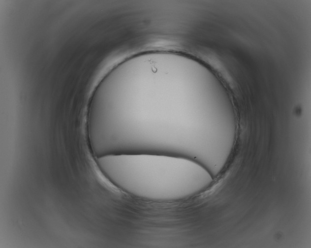 X0000093451421200710120956