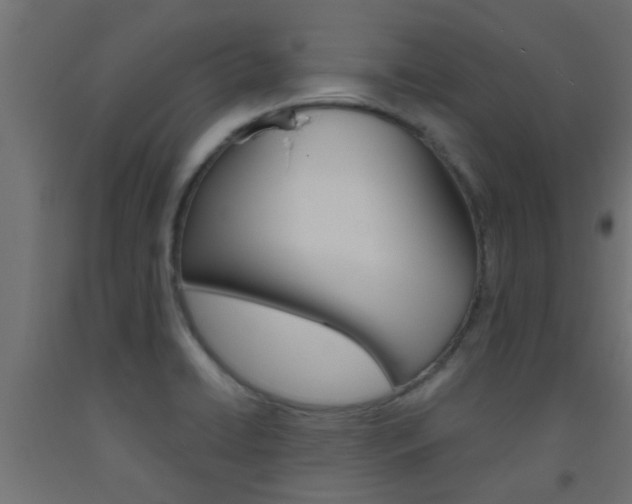 X0000093451422200710120956