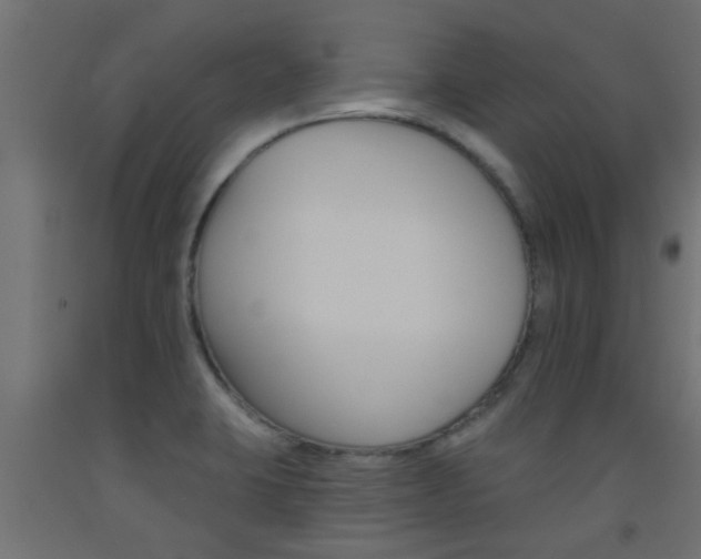 X0000093451423200710120956