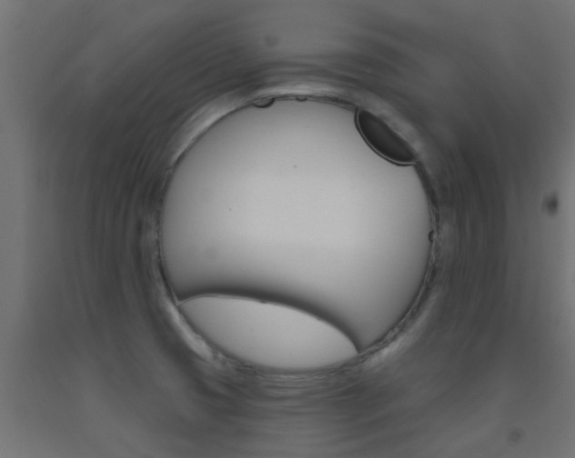 X0000093451425200710120956