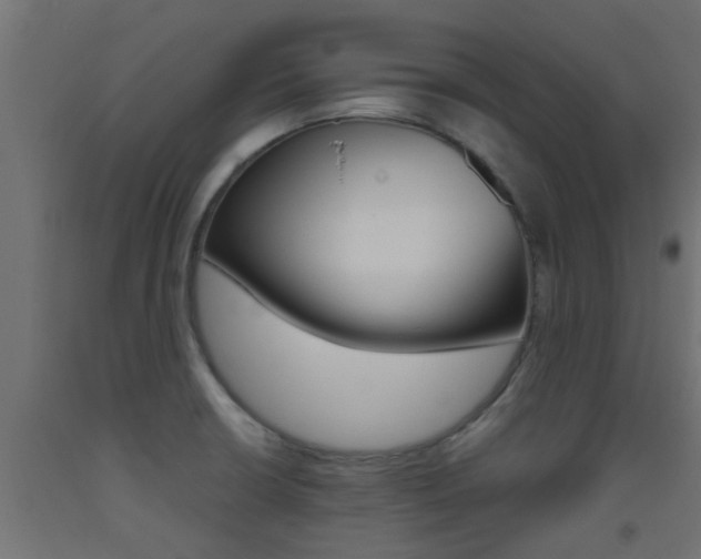 X0000093451426200710120956