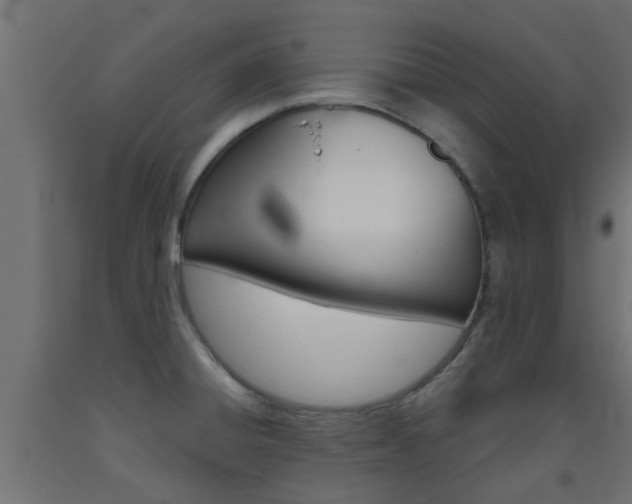 X0000093451428200710120957