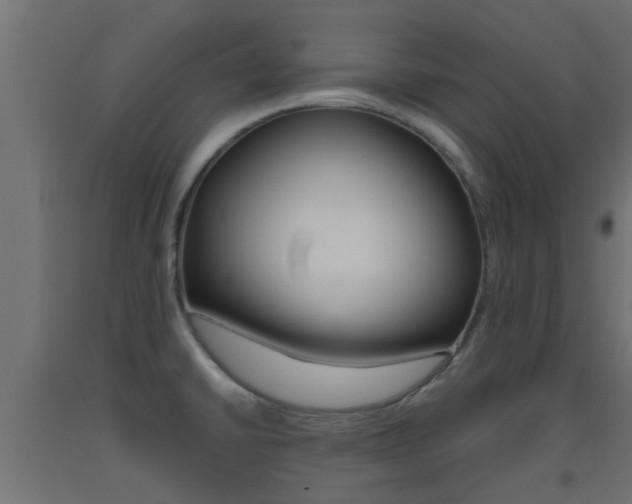 X0000093451430200710120957