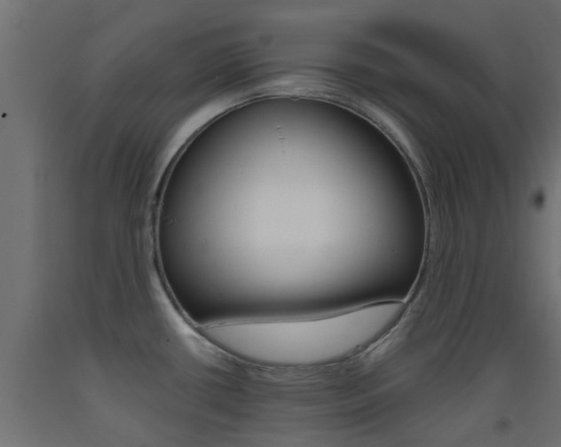 X0000093451434200710120957