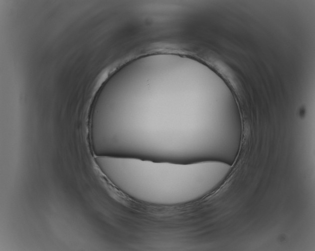 X0000093451435200710120957