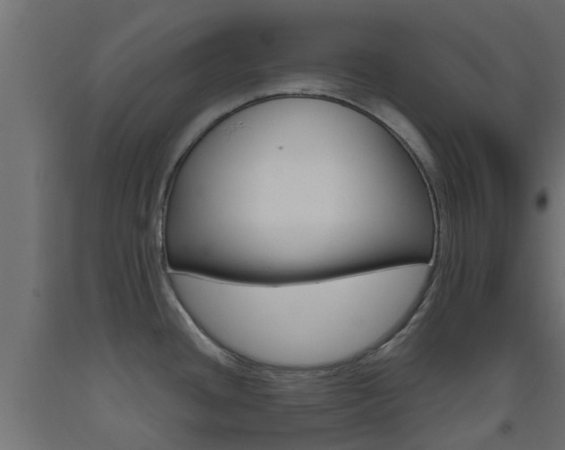 X0000093451436200710120957