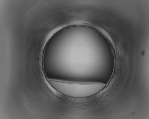 X0000093451437200710120957