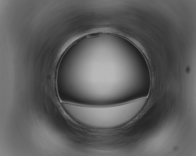 X0000093451438200710120957