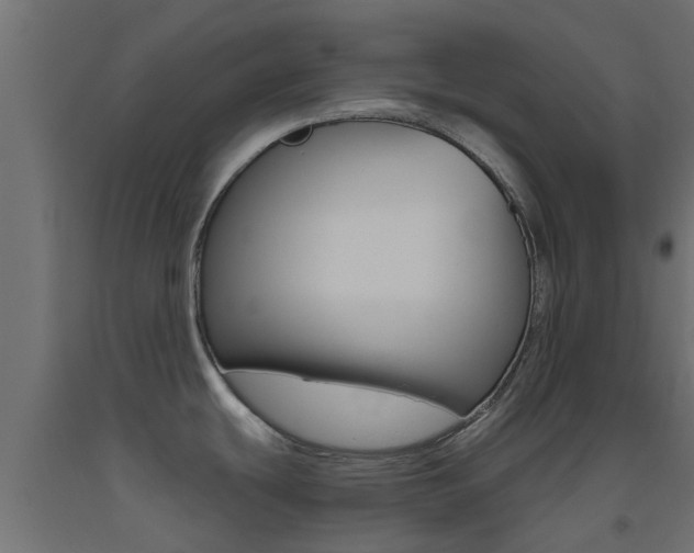 X0000093451439200710120957