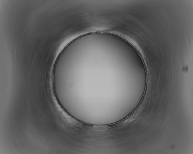 X0000093451440200710120957